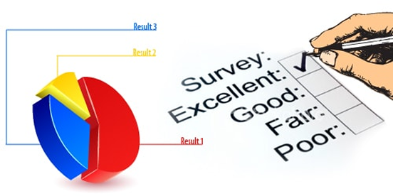 Consumer Insights